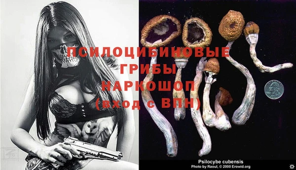 ГАЛЛЮЦИНОГЕННЫЕ ГРИБЫ Елизово