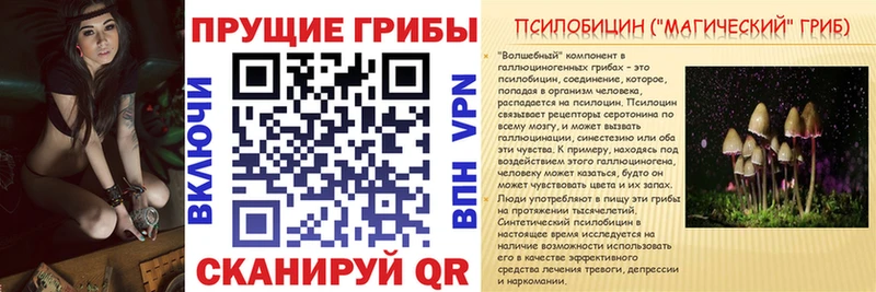 Псилоцибиновые грибы Cubensis  Находка 
